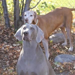 Meet your Posher, Christine